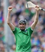 30 June 2019; Diarmuid Byrnes of Limerick celebrates after during the Munster GAA Hurling Senior Championship Final match between Limerick and Tipperary at LIT Gaelic Grounds in Limerick. Photo by Piaras Ó Mídheach/Sportsfile