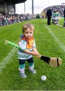 30 June 2019; Limerick supporter Thomas Quaid, age 18 months, son of Tommy Quaid, Limerick minor hurling selector, and nephew of Limerick senior goalkeeper Nickie Quaid at the Munster GAA Hurling Senior Championship Final match between Limerick and Tipperary at LIT Gaelic Grounds in Limerick. Photo by Piaras Ó Mídheach/Sportsfile