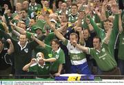 1 November 2003; Irish fans cheer on their side during the game. 2003 Rugby World Cup, Pool A, Ireland v Australia, Telstra Dome, Melbourne, Victoria, Australia. Picture credit; Brendan Moran / SPORTSFILE *EDI*
