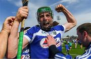 7 July 2019; Paddy Purcell of Laois celebrates with supporters after the GAA Hurling All-Ireland Senior Championship preliminary round quarter-final match between Laois and Dublin at O’Moore Park in Portlaoise, Laois. Photo by Piaras Ó Mídheach/Sportsfile