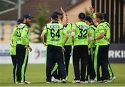 12 June 2019; The Ireland players celebrate the loss of another wicket during the 2nd T20 Cricket International match between Ireland and Zimbabwe at Bready Cricket Club in Magheramason, Co. Tyrone. Photo by Oliver McVeigh/Sportsfile