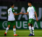 15 July 2019; Ali Reghba, left, and Andrew Omobamidele of Republic of Ireland following the 2019 UEFA European U19 Championships group B match between Norway and Republic of Ireland at FFA Academy Stadium in Yerevan, Armenia. Photo by Stephen McCarthy/Sportsfile
