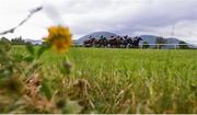 17 July 2019; Runners and riders in action during the Irish Stallion Farms EBF Maiden race at day 3 of the Killarney Racing Festival at Killarney Racecourse in Kerry. Photo by David Fitzgerald/Sportsfile