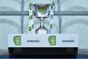 19 July 2019; A general view of the trophy before the EirGrid Leinster GAA Football U20 Championship Final match between Laois and Dublin at Bord na Móna O’Connor Park in Tullamore, Co Offaly. Photo by Piaras Ó Mídheach/Sportsfile