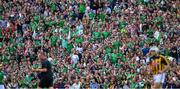 27 July 2019; Limerick supporters, in the Hogan Stand, celebrate their side's 4th point during the GAA Hurling All-Ireland Senior Championship Semi-Final match between Kilkenny and Limerick at Croke Park in Dublin. Photo by Ray McManus/Sportsfile