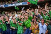 27 July 2019; Limerick fans celebrate their side's first goal scored by Aaron Gillane during the GAA Hurling All-Ireland Senior Championship Semi-Final match between Kilkenny and Limerick at Croke Park in Dublin. Photo by David Fitzgerald/Sportsfile