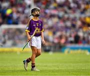 28 July 2019; Shane Reddy, Rathnure NS, Enniscorthy , Wexford, representing Wexford, during the INTO Cumann na mBunscol GAA Respect Exhibition Go Games at the GAA Hurling All-Ireland Senior Championship Semi Final match between Wexford and Tipperary at Croke Park in Dublin. Photo by Ray McManus/Sportsfile