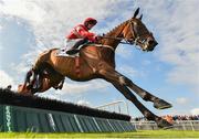 30 July 2019; Fast Buck, with Paul Townend up, jumps the fifth on their way to winning the Colm Quinn BMW Novice Hurdle on Day Two of the Galway Races Summer Festival 2019 in Ballybrit, Galway. Photo by Seb Daly/Sportsfile