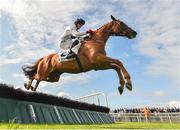 30 July 2019; Road To Dubai, with Keith Donoghue up, jumps the fifth on their way to finishing third in the Colm Quinn BMW Novice Hurdle on Day Two of the Galway Races Summer Festival 2019 in Ballybrit, Galway. Photo by Seb Daly/Sportsfile