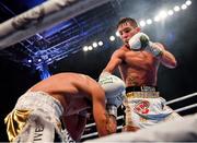 3 August 2019; Michael Conlan, right, in action against Diego Alberto Ruiz during their WBA and WBO Inter-Continental Featherweight title bout at Falls Park in Belfast. Photo by Ramsey Cardy/Sportsfile