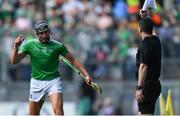 27 July 2019; Gearóid Hegarty of Limerick remonstrates with linesman Paud O'Dwyer during the GAA Hurling All-Ireland Senior Championship Semi-Final match between Kilkenny and Limerick at Croke Park in Dublin. Photo by Piaras Ó Mídheach/Sportsfile