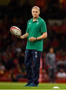 31 August 2019; Ireland head coach Joe Schmidt prior to the Under Armour Summer Series 2019 match between Wales and Ireland at the Principality Stadium in Cardiff, Wales. Photo by Brendan Moran/Sportsfile