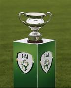 1 September 2019; A general view of the Cup ahead of the FAI Women’s Intermediate Cup Final match between Wilton United and TEK United at St Kevin’s FC, Newhill Park in Two Mile Borris, Tipperary. Photo by Michael P Ryan/Sportsfile