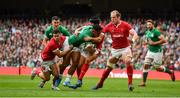 7 September 2019; Bundee Aki of Ireland is tackled by Tomos Williams, left, and Leigh Halfpenny during the Guinness Summer Series match between Ireland and Wales at Aviva Stadium in Dublin. Photo by David Fitzgerald/Sportsfile