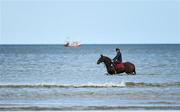11 September 2019; Plough Boy, with Cody Keogh up, in the surf prior to racing at the Laytown Strand Races in Laytown, Co Meath. Photo by Seb Daly/Sportsfile