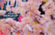 13 September 2019; Rugby World Cup signage is seen through cherry blossoms prior to the Ireland Rugby World Cup 2019 Welcome Ceremony at Mihama Bunka Hall Hall in Chiba Prefecture, Japan. Photo by Brendan Moran/Sportsfile