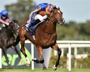 14 September 2019; Mogul, with Ryan Moore up, on their way to winning the KPMG Champions Juvenile Stakes during Day One of the Irish Champions Weekend at Leopardstown Racecourse in Dublin.  Photo by Matt Browne/Sportsfile