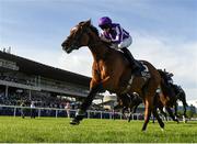 14 September 2019; Magical, with Ryan Moore up, on their way to winning the QIPCO Irish Champion Stakes during Day One of the Irish Champions Weekend at Leopardstown Racecourse in Dublin.  Photo by Matt Browne/Sportsfile