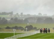 15 September 2019; A view of the field during the Moyglare 'Jewels' Blandford Stakes during Day Two of the Irish Champions Weekend at The Curragh Racecourse in Kildare. Photo by Seb Daly/Sportsfile