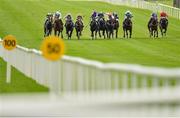 15 September 2019; A view of the field during the Derrinstown Stud Flying Five Stakes during Day Two of the Irish Champions Weekend at The Curragh Racecourse in Kildare. Photo by Seb Daly/Sportsfile