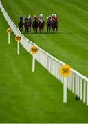 15 September 2019; A view of the field during the Moyglare Stud Stakes during Day Two of the Irish Champions Weekend at The Curragh Racecourse in Kildare. Photo by Seb Daly/Sportsfile