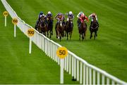 15 September 2019; A view of the field during the Moyglare Stud Stakes during Day Two of the Irish Champions Weekend at The Curragh Racecourse in Kildare. Photo by Seb Daly/Sportsfile