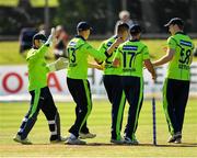 17 September 2019; David Delany of Ireland, centre, is congratulated by team-mates after claiming the wicket of Richie Berrington of Scotland during the T20 International Tri Series match between Ireland and Scotland at Malahide Cricket Club in Dublin. Photo by Seb Daly/Sportsfile