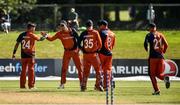 18 September 2019; The Netherlands players celebrate after taking a wicket during the T20 International Tri Series match between Ireland and Netherlands at Malahide Cricket Club in Dublin. Photo by Oliver McVeigh/Sportsfile
