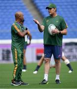 20 September 2019; Head coach Rassie Erasmus, right, in conversation with team media manager Rayaan Adriaanse during the South Africa captain's run ahead of their opening Pool B game against New Zealand at the International Stadium in Yokohama, Japan.  Photo by Ramsey Cardy/Sportsfile