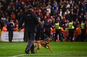 27 September 2019; A member of An Garda Síochána on the pitch following the Extra.ie FAI Cup Semi-Final match between Bohemians and Shamrock Rovers at Dalymount Park in Dublin. Photo by Stephen McCarthy/Sportsfile