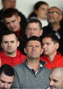 29 September 2019; Former Republic of Ireland international Niall Quinn watches on during the Extra.ie FAI Cup Semi-Final match between Sligo Rovers and Dundalk at The Showgrounds in Sligo. Photo by Stephen McCarthy/Sportsfile