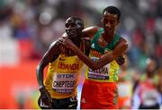 6 October 2019; Joshua Cheptegei of Uganda, left, is congratulated by Yomif Kejelcha of Ethiopa after winning the Men's 10,000m during day ten of the 17th IAAF World Athletics Championships Doha 2019 at the Khalifa International Stadium in Doha, Qatar. Photo by Sam Barnes/Sportsfile
