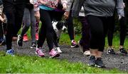 12 October 2019; A dog pictured at the Monaghan Town parkrun, Rossmore Forest Park, Gortnakeegan, Monaghan, where Vhi hosted a special event to celebrate their partnership with parkrun Ireland. Vhi ambassador and Olympian David Gillick was on hand to lead the warm up for parkrun participants before completing the 5km free event. Parkrunners enjoyed refreshments post event at the Vhi Rehydrate, Relax, Refuel and Reward areas. parkrun in partnership with Vhi support local communities in organising free, weekly, timed 5k runs every Saturday at 9.30am. To register for a parkrun near you visit www.parkrun.ie. Photo by Piaras Ó Mídheach/Sportsfile