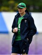 15 October 2019; Head coach Joe Schmidt during Ireland Rugby squad training in Arcs Urayasu Park in Urayasu, Aichi, Japan. Photo by Brendan Moran/Sportsfile