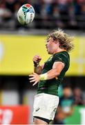 20 October 2019; Faf de Klerk of South Africa celebrates scoring his side's second try during the 2019 Rugby World Cup Quarter-Final match between Japan and South Africa at the Tokyo Stadium in Chofu, Japan. Photo by Brendan Moran/Sportsfile