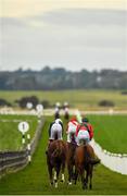 22 October 2019; Runners and riders go to post prior to the Flat Rath Maiden during the Curragh Season Finale at the Curragh Racecourse in Kildare. Photo by Seb Daly/Sportsfile