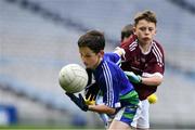 22 October 2019; Luke Collins of St Oliver Plunkett NS Malahide in action against Scoil Maelruain SNS Old Bawn Tallaght in the match between Scoil Maelruain SNS Old Bawn Tallaght and St Oliver Plunkett NS Malahide during day one of the Allianz Cumann na mBunscol finals at Croke Park in Dublin. Photo by Matt Browne/Sportsfile