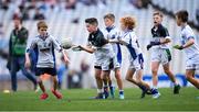 23 October 2019; Ollie O'Leary of St Pius X BNS, Terenure, in action against Ballyroan BNS in the Corn Kitterick Shield Final during day two of the Allianz Cumann na mBunscol Finals at Croke Park in Dublin. Photo by Piaras Ó Mídheach/Sportsfile