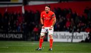 25 October 2019; Billy Holland of Munster during the Guinness PRO14 Round 4 match between Munster and Ospreys at Irish Independent Park in Cork. Photo by David Fitzgerald/Sportsfile