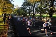 27 October 2019; Competitors at Bushy Park during the 2019 KBC Dublin Marathon. 22,500 runners took to the Fitzwilliam Square start line today to participate in the 40th running of the KBC Dublin Marathon, making it the fifth largest marathon in Europe. Photo by Stephen McCarthy/Sportsfile
