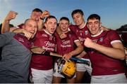 27 October 2019; St Martin's players celebrate following the Wexford County Senior Club Hurling Championship Final between St Martin's and St Anne's at Innovate Wexford Park in Wexford. Photo by Stephen McCarthy/Sportsfile