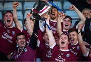 27 October 2019; St Martin's captain Willie Devereux and injured captain Paudie Kelly, left, lift the cup following the Wexford County Senior Club Hurling Championship Final between St Martin's and St Anne's at Innovate Wexford Park in Wexford. Photo by Stephen McCarthy/Sportsfile