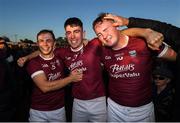 27 October 2019; St Martin's players, from left, Mikey Coleman, Conor Coleman and Joe Coleman celebrate following the Wexford County Senior Club Hurling Championship Final between St Martin's and St Anne's at Innovate Wexford Park in Wexford. Photo by Stephen McCarthy/Sportsfile