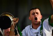 27 October 2019; Tullaroan captain Shane Walsh lifts the cup after the Kilkenny Intermediate Hurling Club Championship Final match between Thomastown v Tullaroan at UPMC Nowlan Park in Kilkenny. Photo by Ray McManus/Sportsfile