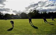 28 October 2019; Players warm-up during Leinster Rugby squad training at Rosemount in UCD, Dublin. Photo by Ramsey Cardy/Sportsfile