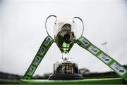 2 November 2019; A general view of the cup on the plinth prior to the SSE Airtricity U13 Cup Final match between Limerick and St Patrick's Athletic at Jackman Park in Limerick. Photo by Eóin Noonan/Sportsfile