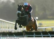 7 December 2003; Kahuna, with Shay Barry up, jumps the last on their way to winning the I.N.H. Stallion Farms European Breeders Fund Novice Hurdle at Punchestown, Co. Kildare. Picture credit; Matt Browne / SPORTSFILE *EDI*