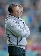 23 June 2013; Clare manager Davy Fitzgerald reacts late on in the game. Munster GAA Hurling Senior Championship Semi-Final, Cork v Clare, Gaelic Grounds, Limerick. Picture credit: Brendan Moran / SPORTSFILE