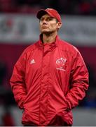 9 November 2019; Munster senior coach Stephen Larkham prior to the Guinness PRO14 Round 6 match between Munster and Ulster at Thomond Park in Limerick. Photo by Brendan Moran/Sportsfile