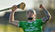 17 November 2019; James Doyle of St Mullins, who scored the winning point, celebrates after the AIB Leinster GAA Hurling Senior Club Championship semi-final match between St Mullins and Rathdowney Errill at Netwatch Cullen Park in Carlow. Photo by Piaras Ó Mídheach/Sportsfile